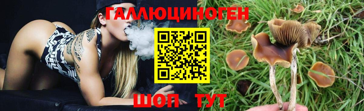 Псилоцибиновые грибы GOLDEN TEACHER Ликино-Дулёво