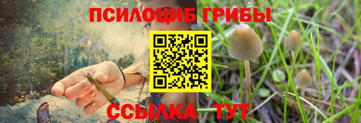 закладки  Галлюциногенные грибы GOLDEN TEACHER  Вход с VPN  Ликино-Дулёво 